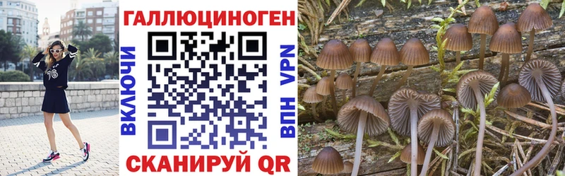 Псилоцибиновые грибы MAGIC MUSHROOMS  где найти   Красногорск 